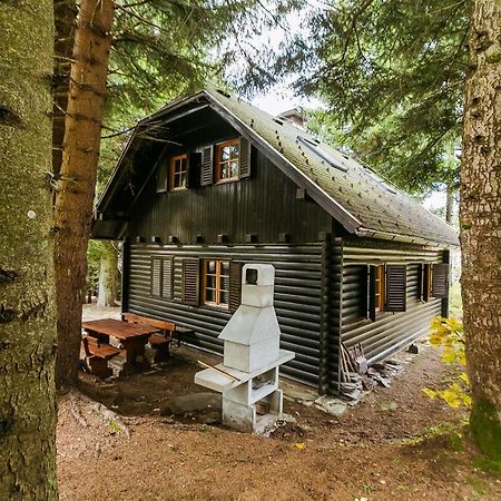 Chalet Liza & Rozi Zgornja Loznica Екстериор снимка