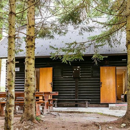 Chalet Liza & Rozi Zgornja Loznica Екстериор снимка