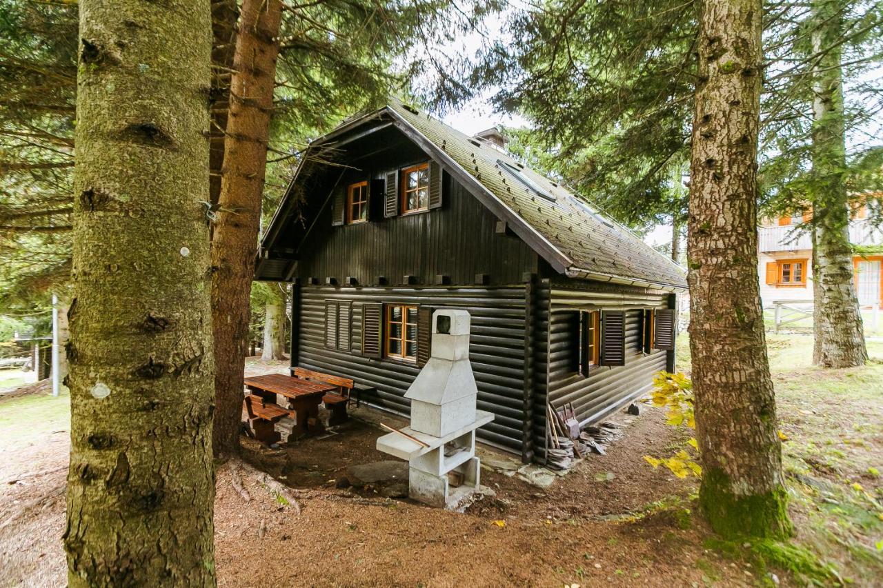 Chalet Liza & Rozi Zgornja Loznica Екстериор снимка