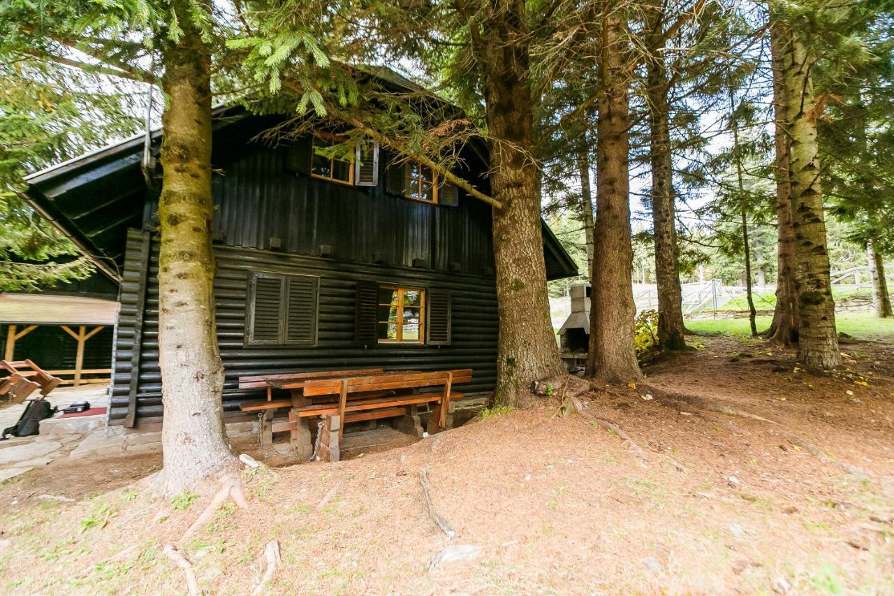 Chalet Liza & Rozi Zgornja Loznica Екстериор снимка